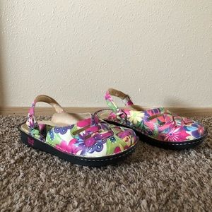Alegria Colorful Mule